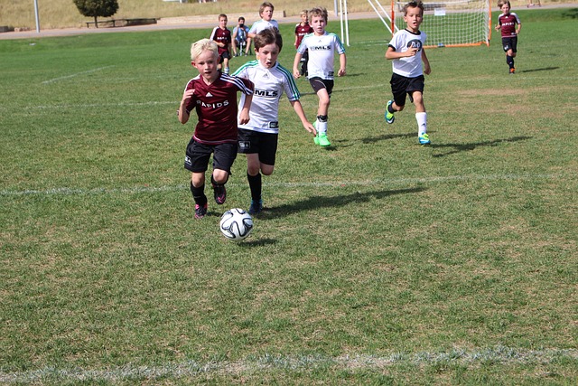 展现了令人 展现了令人