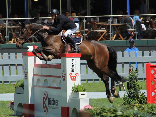 让篮球变得 让篮球变得