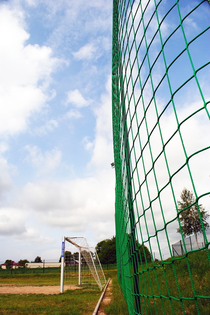 合作来保持 合作来保持